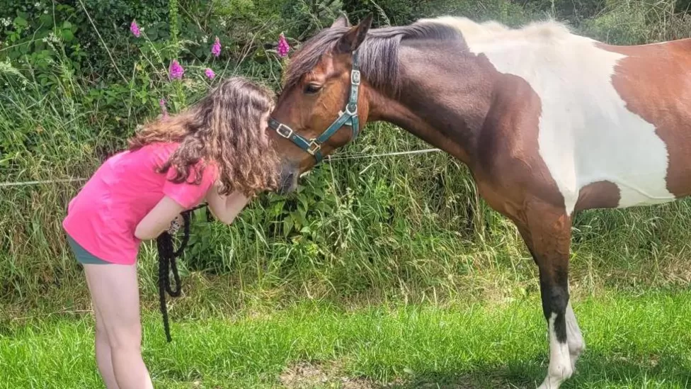 Horse Left To Die Is Now Prize-Winning Show Pony